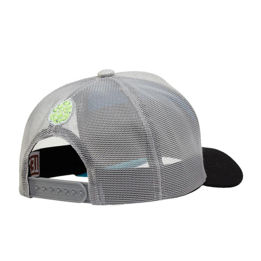 Boné Trucker Land Sunrise Cinza Texo